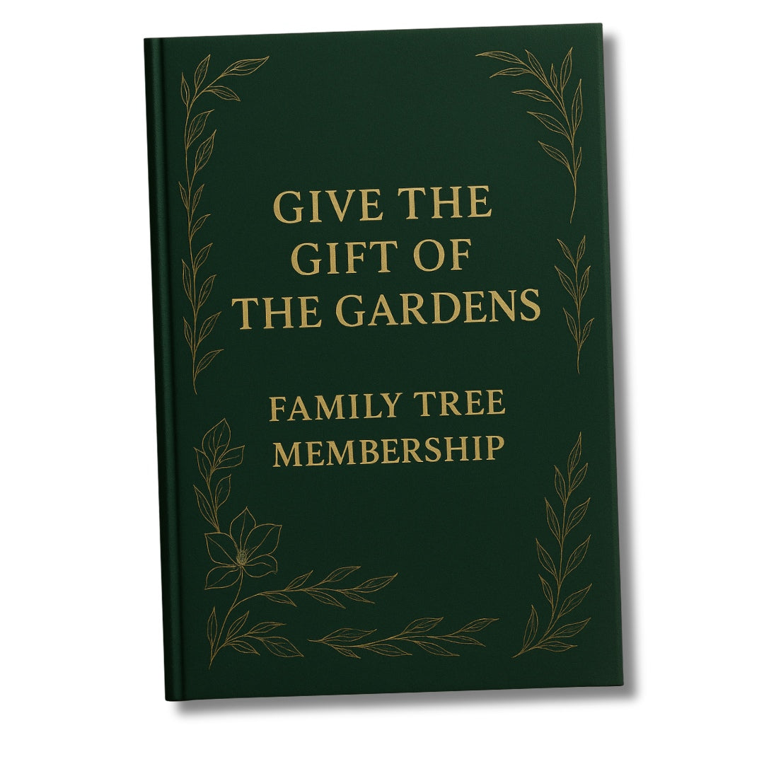Family Tree Membership | GIFT EDITION