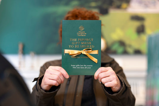 Family Tree Membership | GIFT EDITION