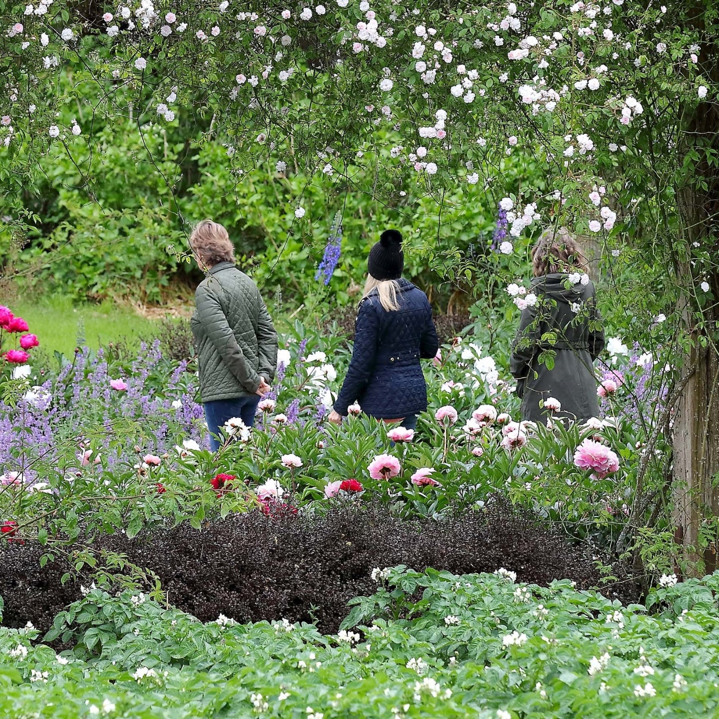 Gardener's Friend Membership - Gift Edition