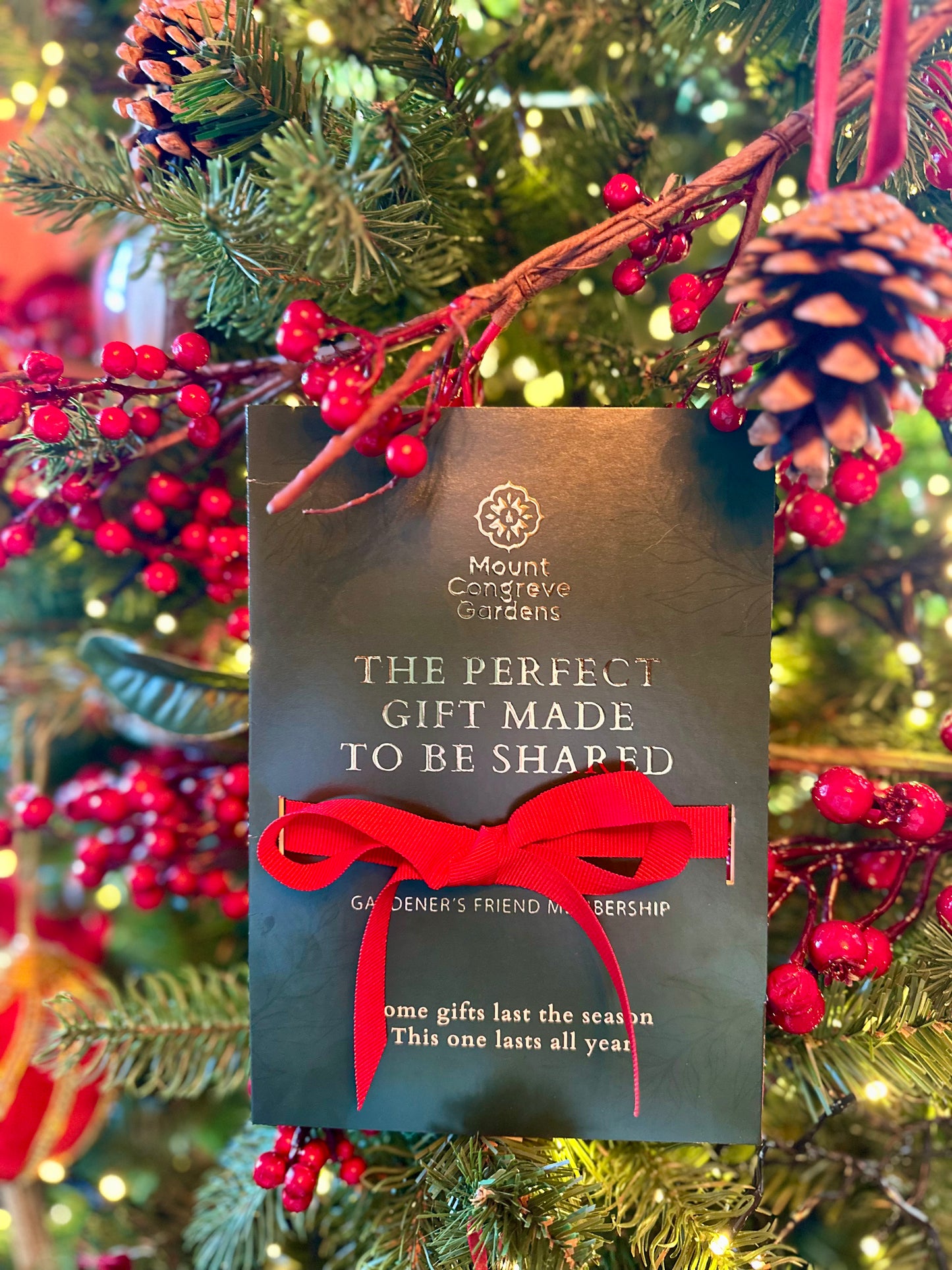 Gardener's Friend Membership | GIFT EDITION