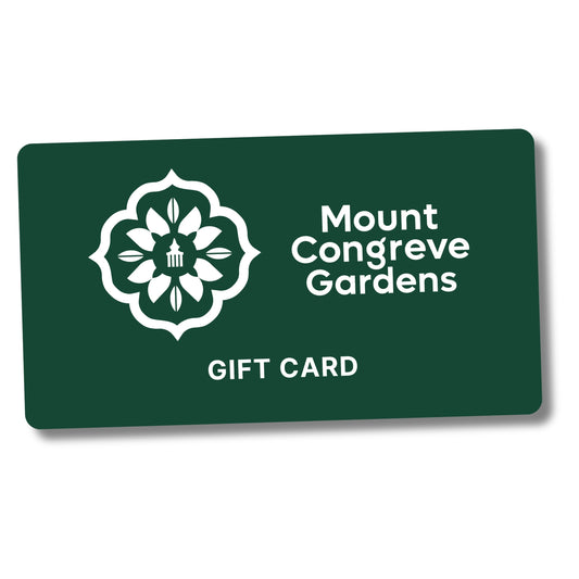 GREEN FRIDAY GIFT CARD