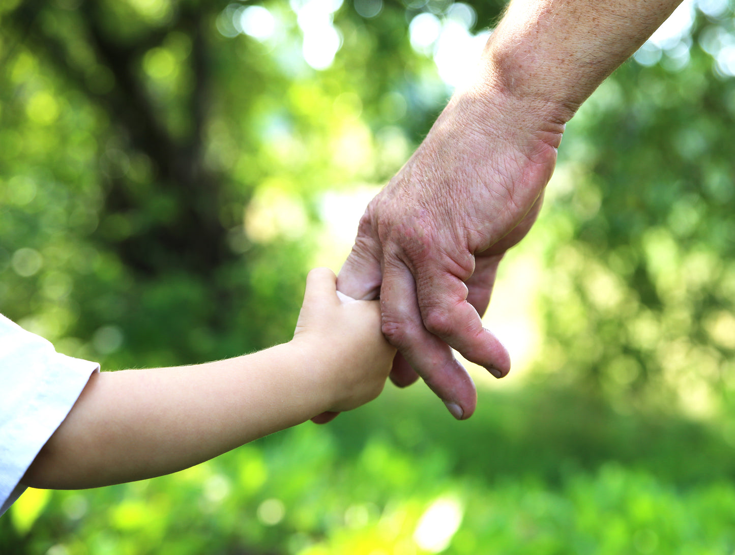 Family Tree Membership - Gift Edition